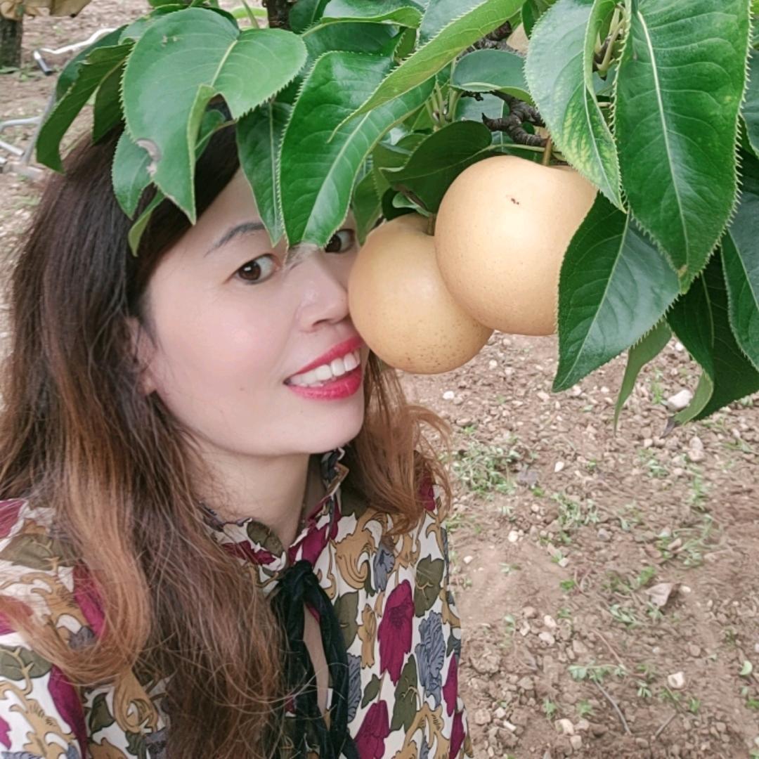 小李黄金梨