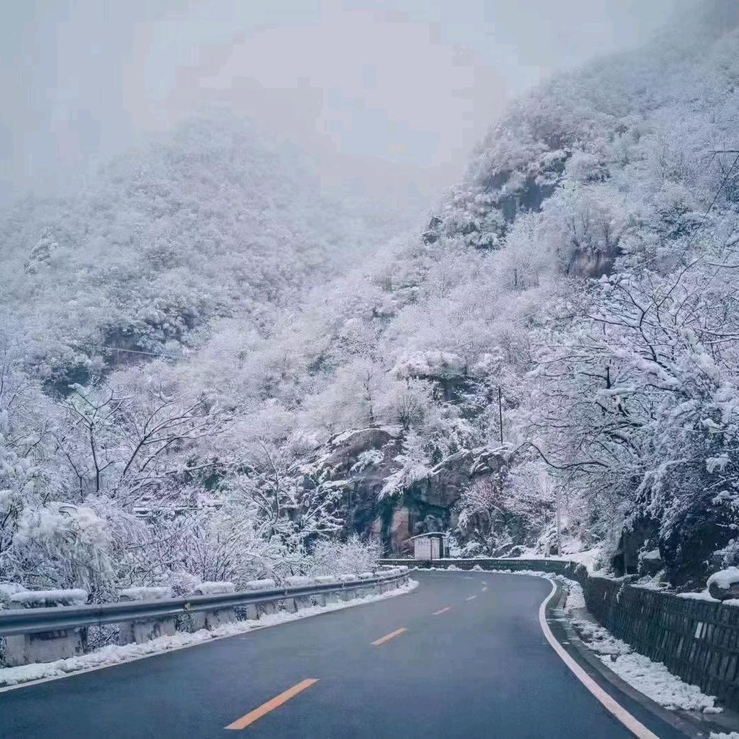 九粥推文