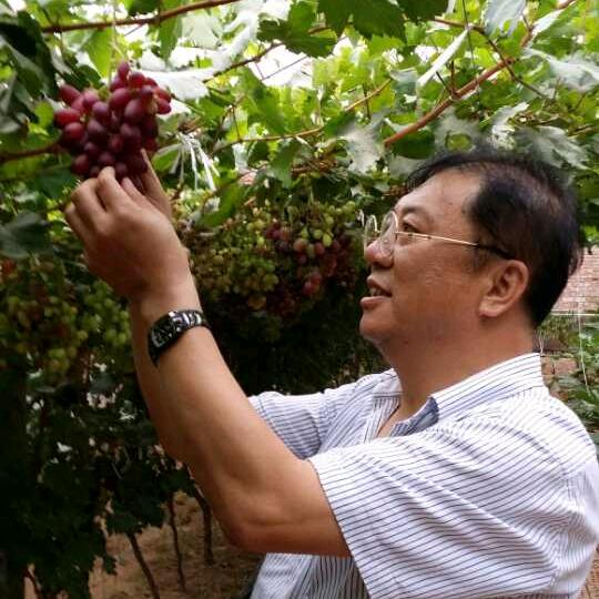 张俊杰