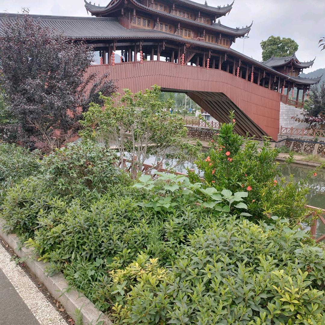 归去来兮