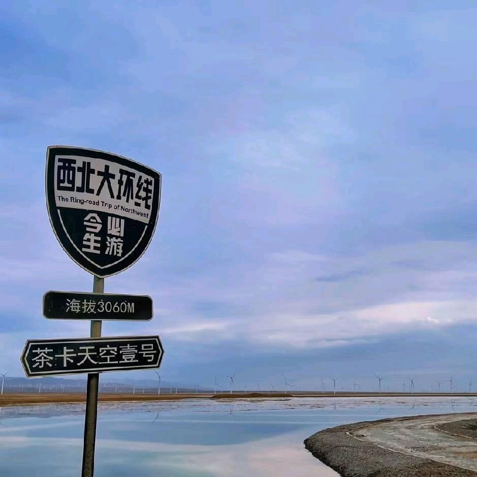 Z_赵