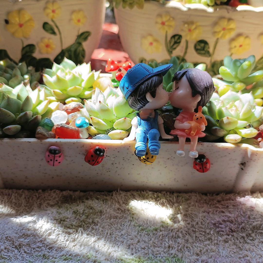 何以解忧🦚专业美缝