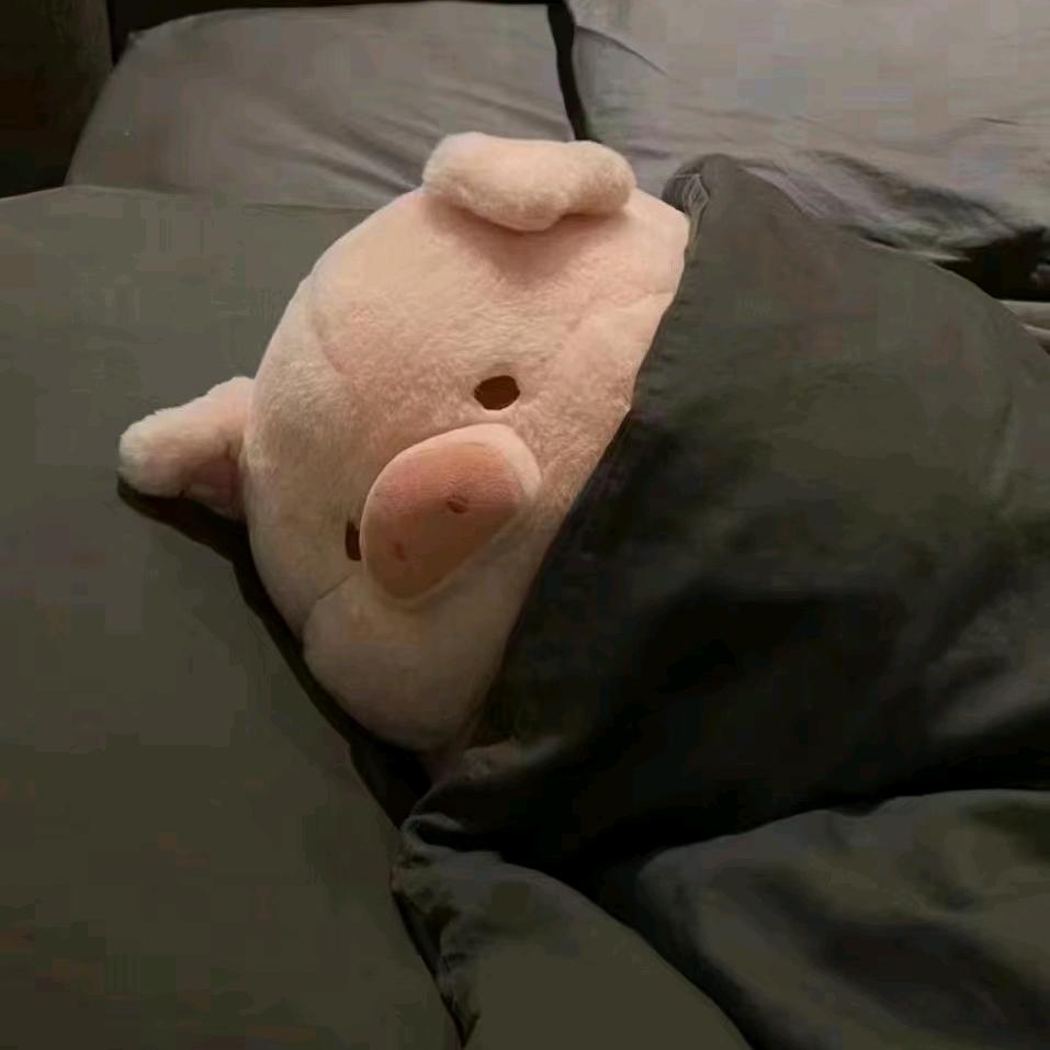 瑞拉🐣¹⁹⁰⁹