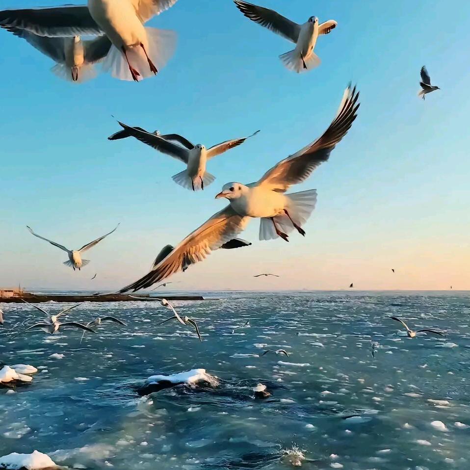 李海风