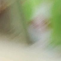 小闹钟000