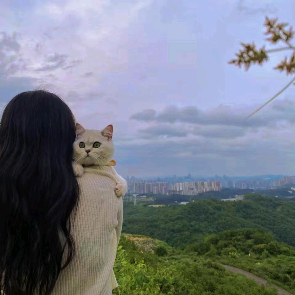 周冬瓜呀^ - ^
