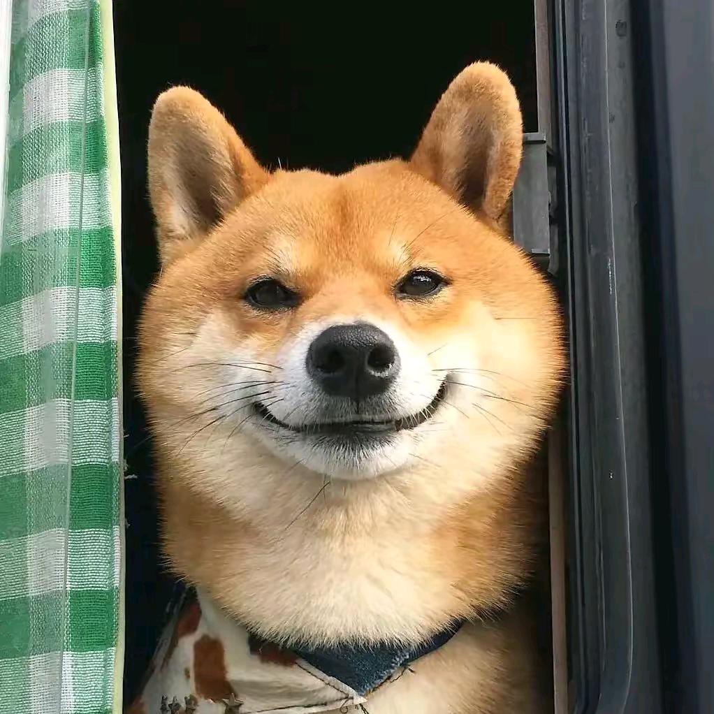 爱吃桃的皮卡丘