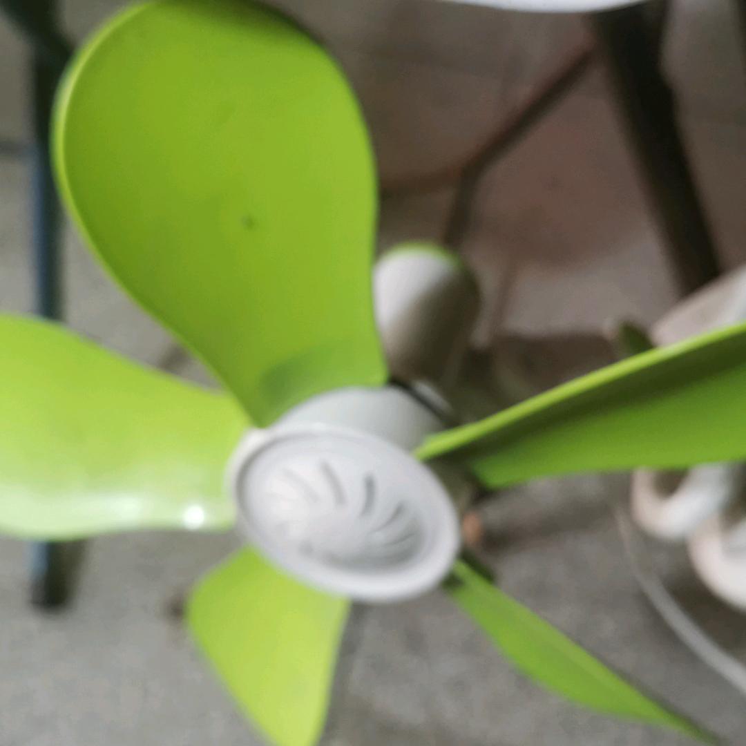 本机等你
