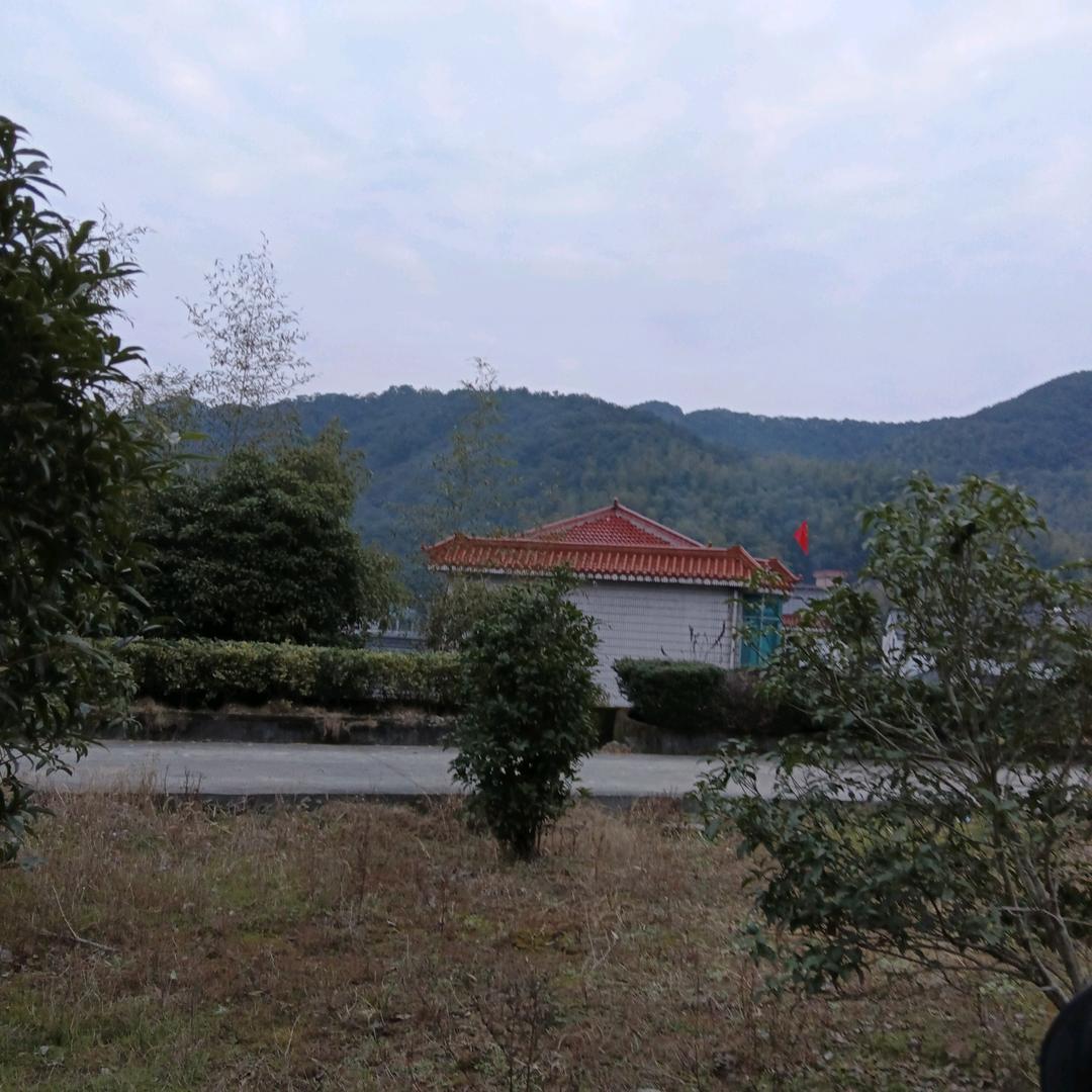 陈哥哥
