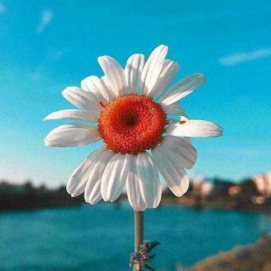 Serendipity………
