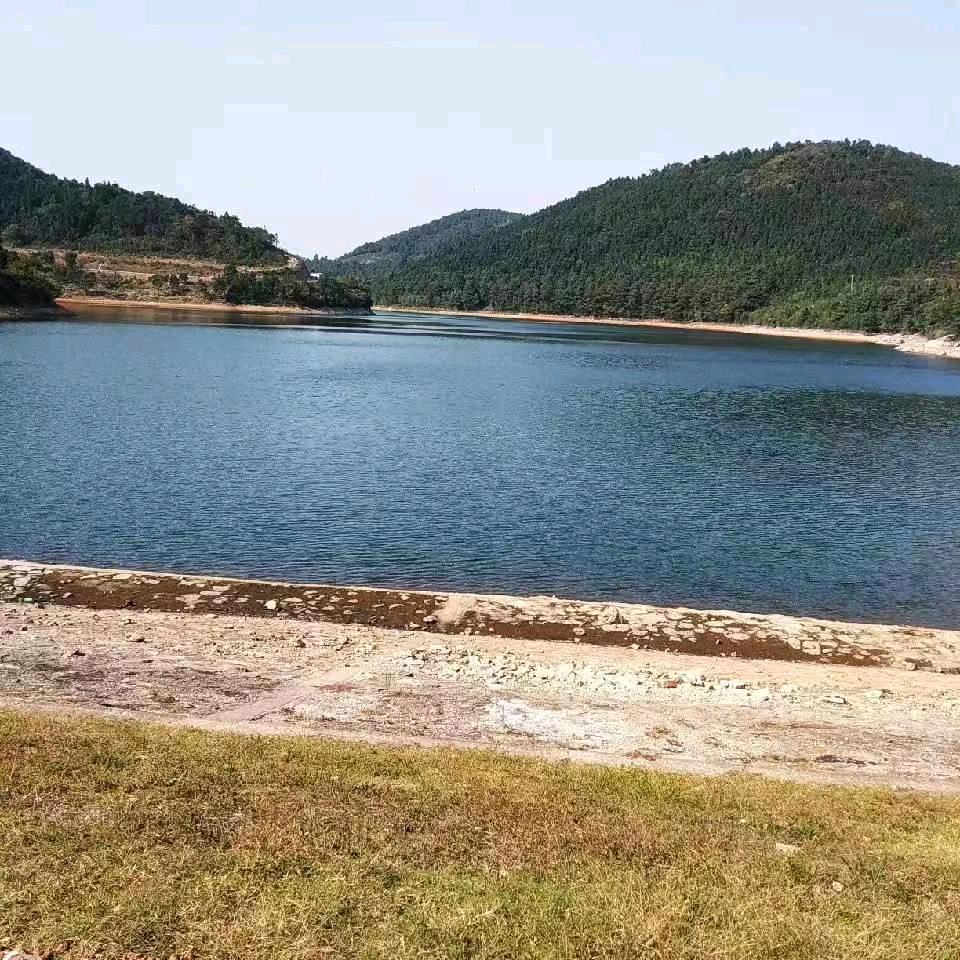 绿水青山