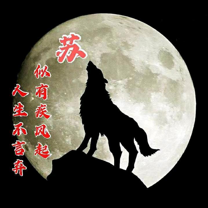 随缘.随心