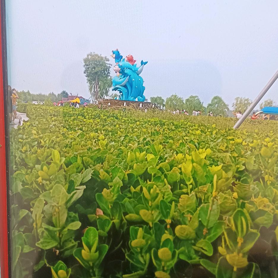 不烦你
