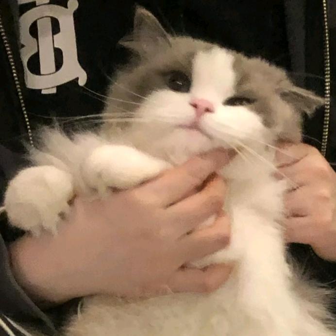 潼遥