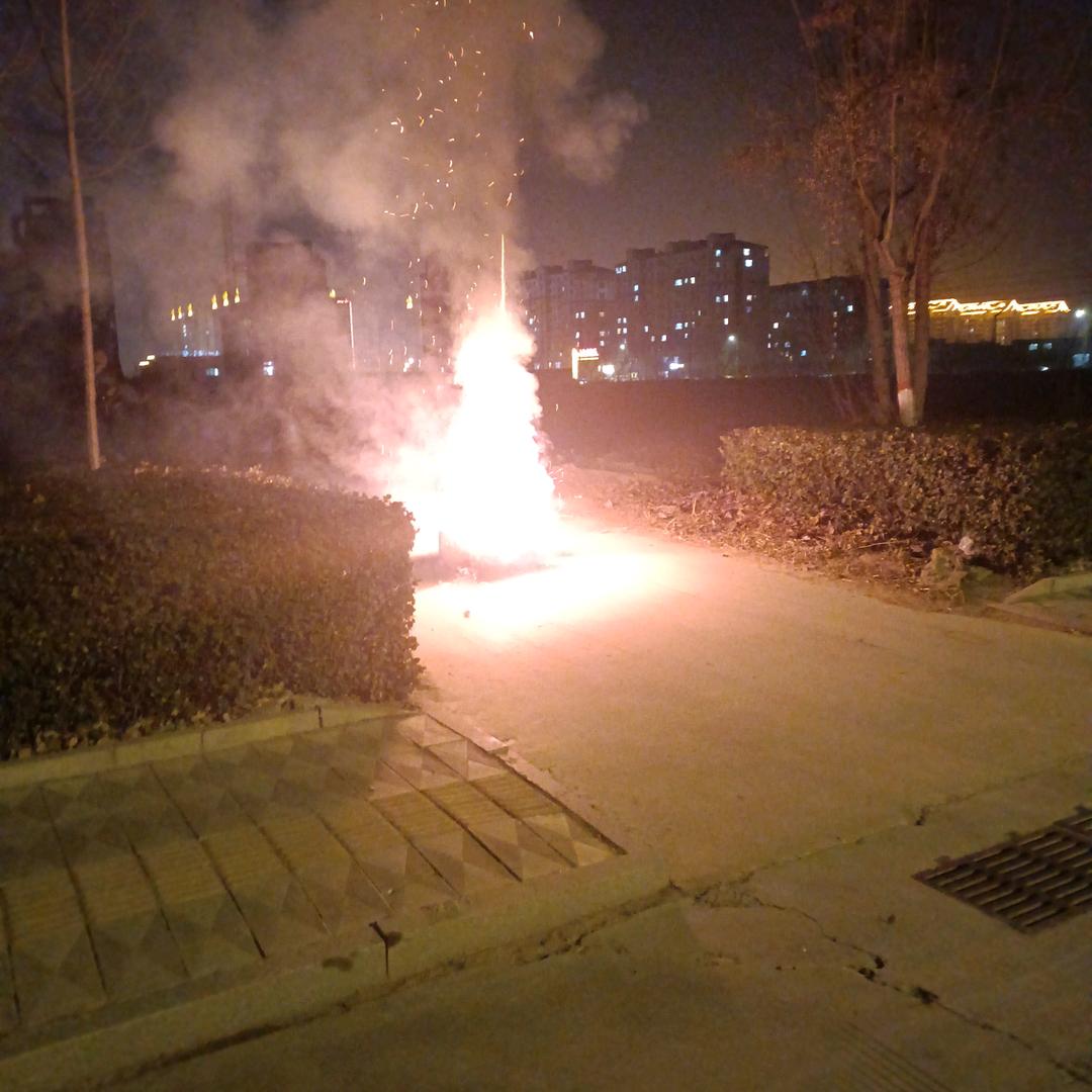 森林之火