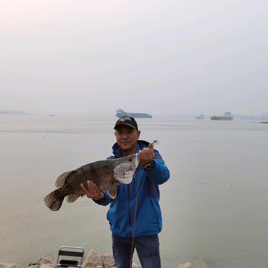 娱乐，鱼乐