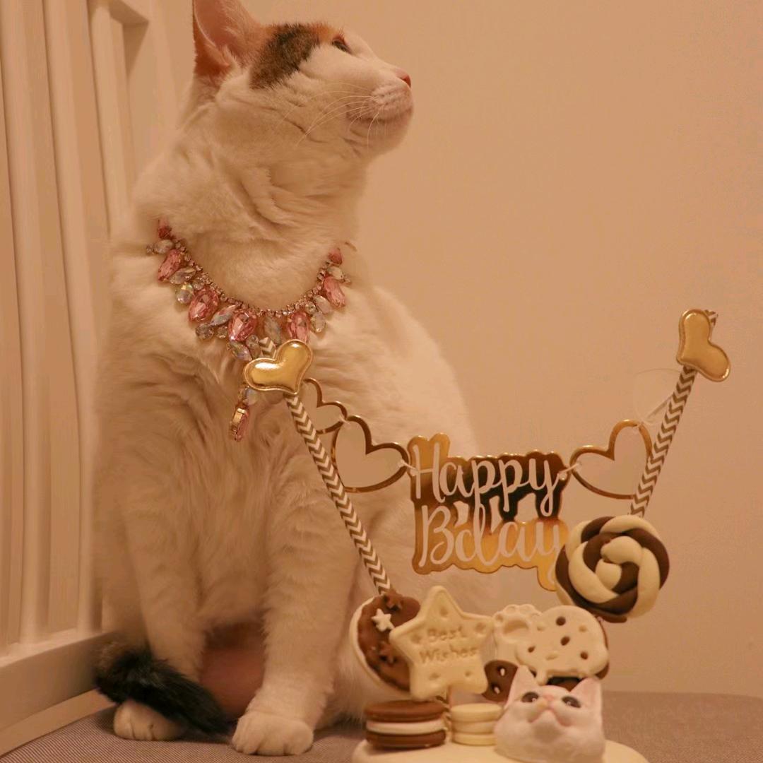 有多少爱可以乱来