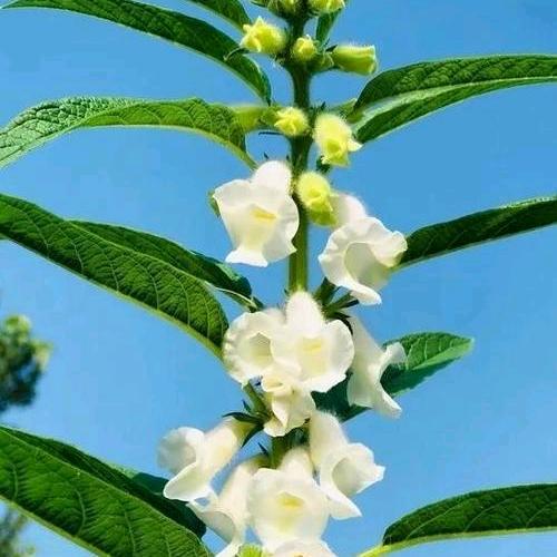 郭姐健康美业日记