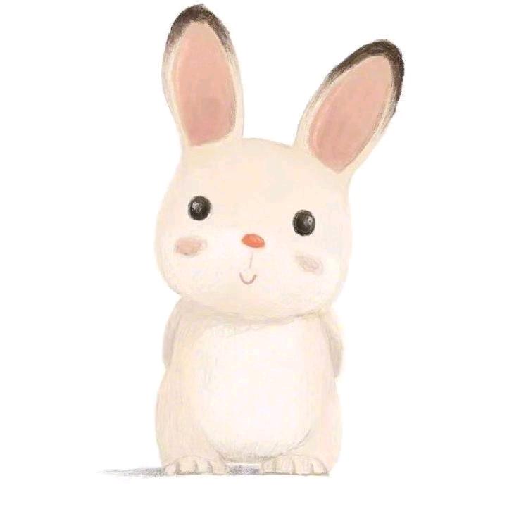 梦   儿