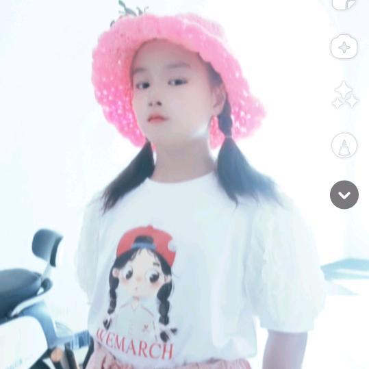 枯叶蝶