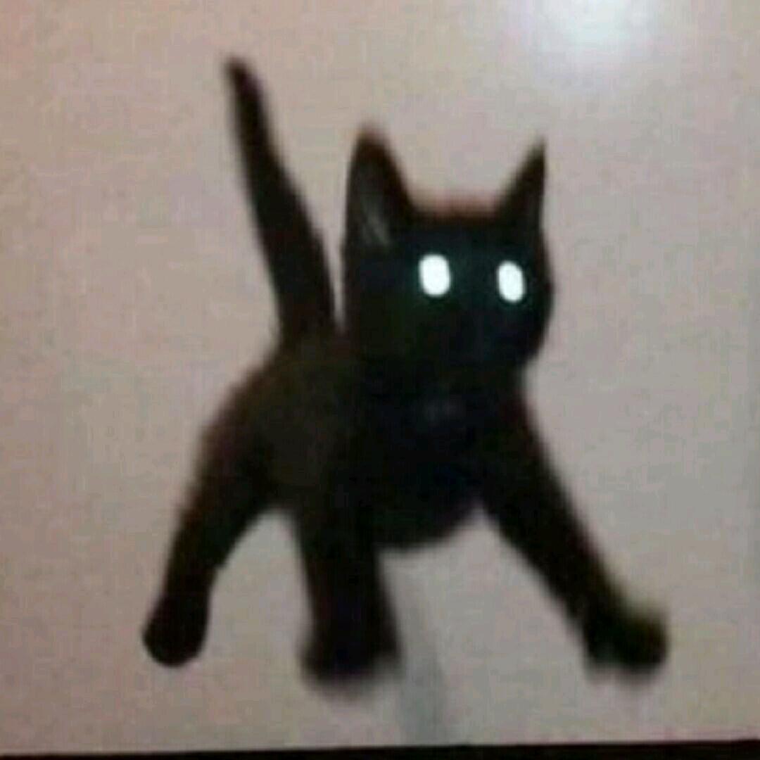整日幻想