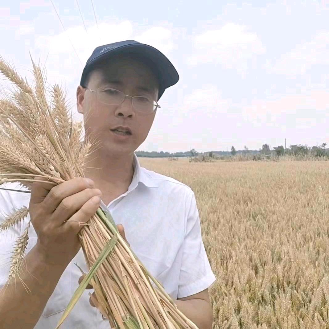 赵哥养羊