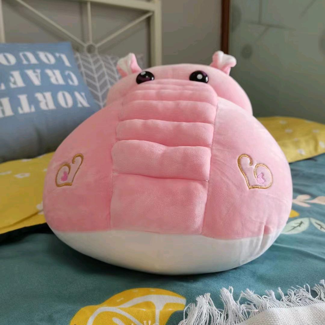 阿杰探房——实拍