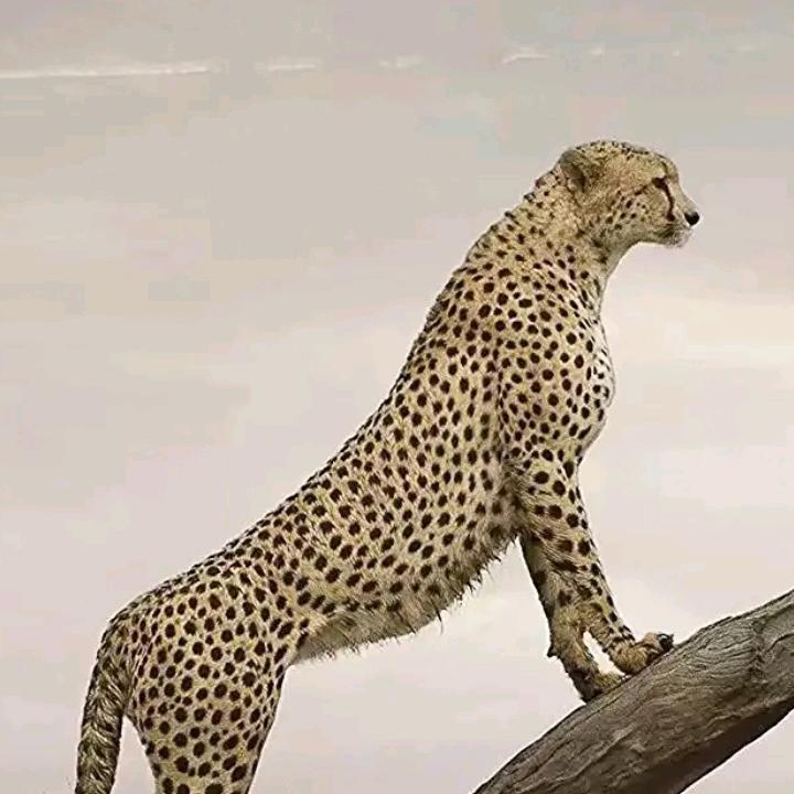 用户1544075573653