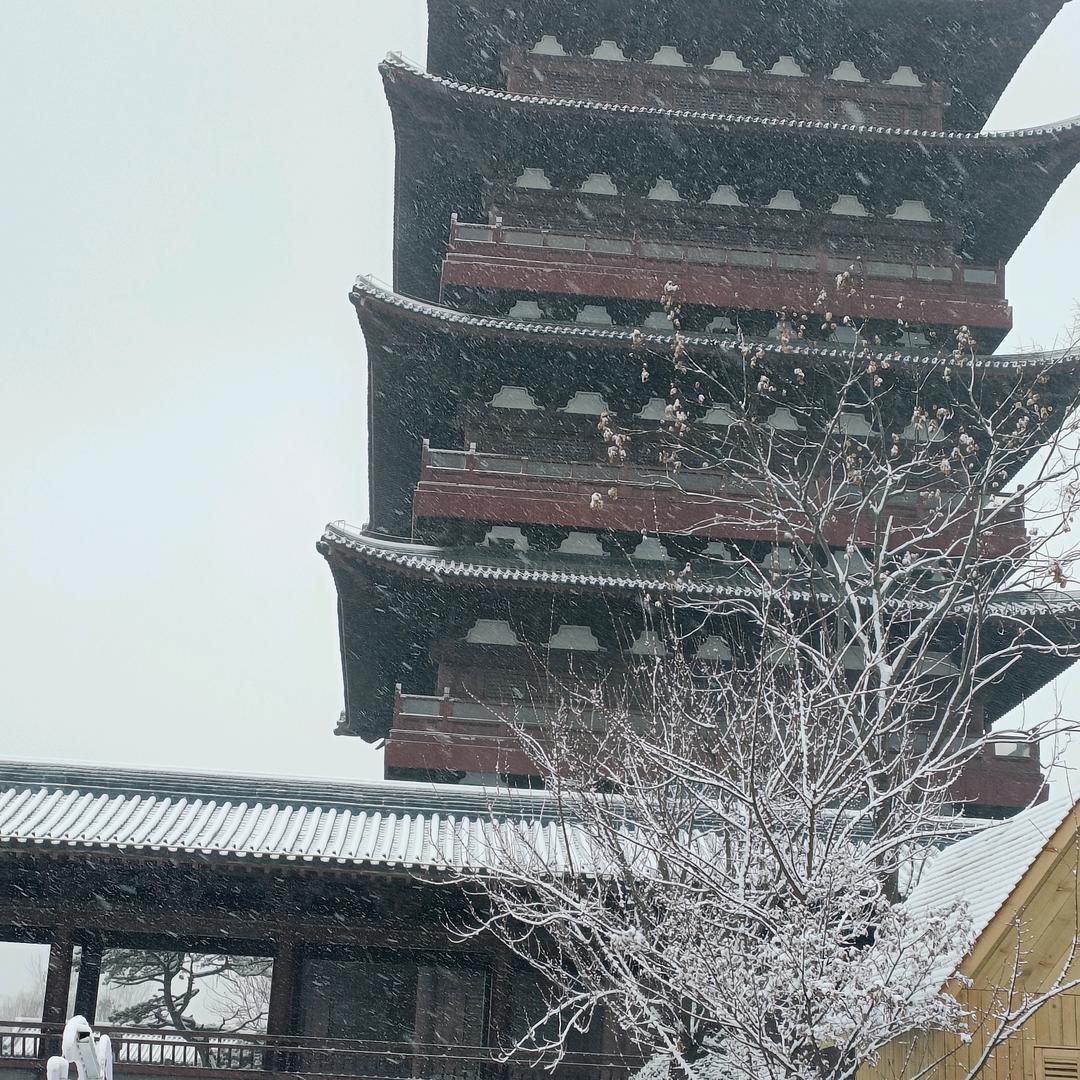 王志臣陪老婆抗白