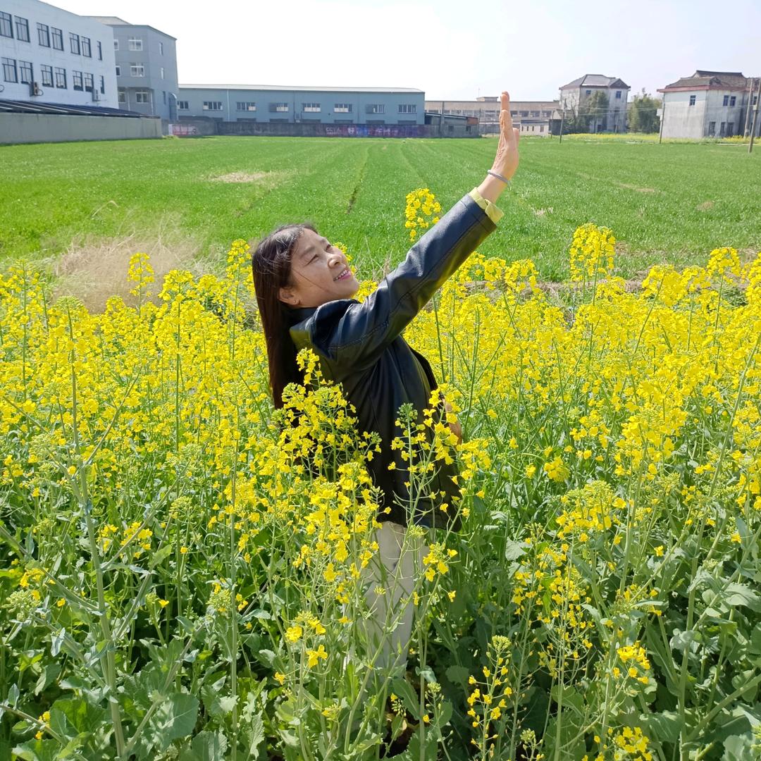平平淡淡才是真