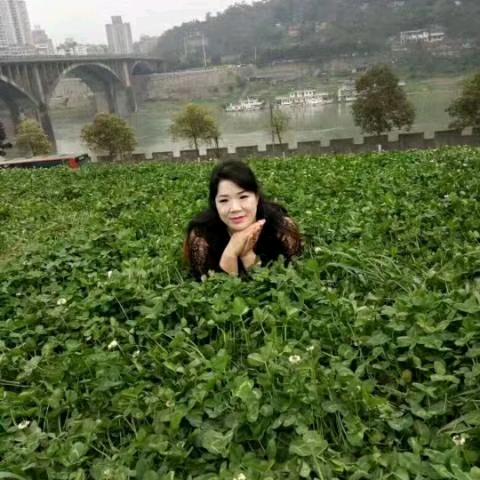 城市套路深，我要回农村