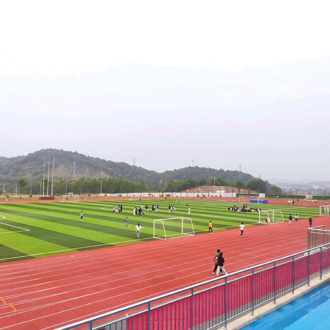 程老师升学规划