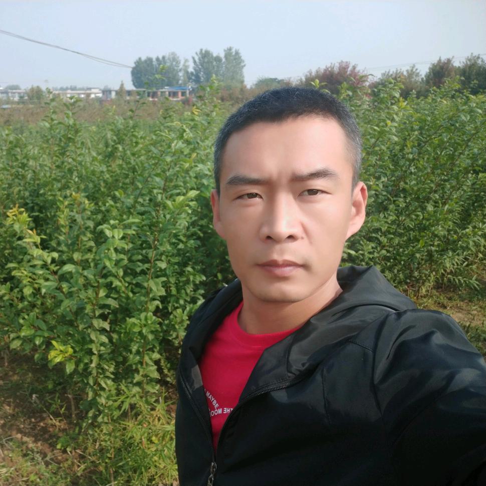 甜盟森泉果树苗木专卖店