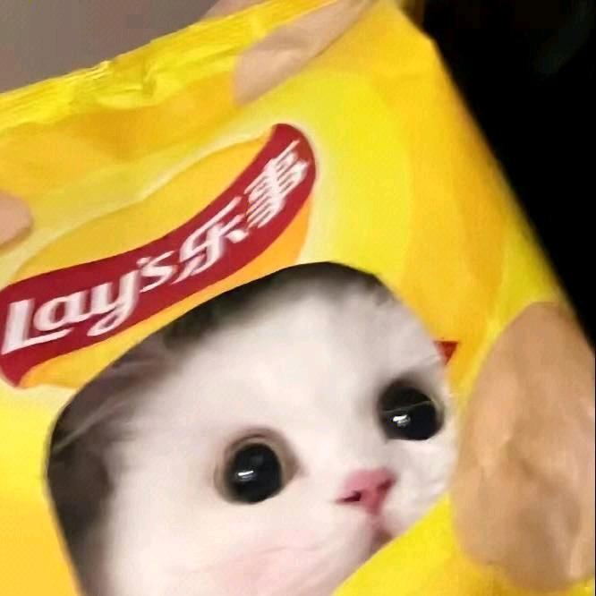 罗某