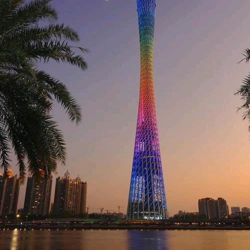 勿忘我     dant forg me