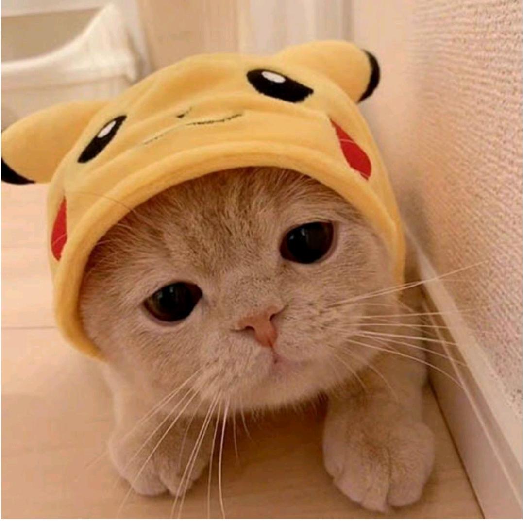 二十五