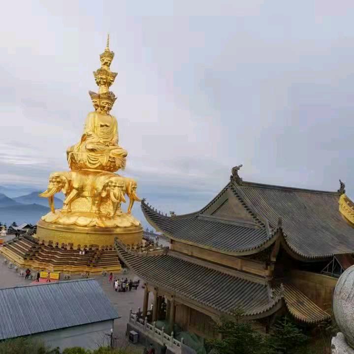 宁波三洋