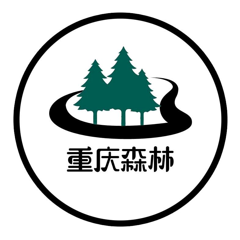 重庆森林