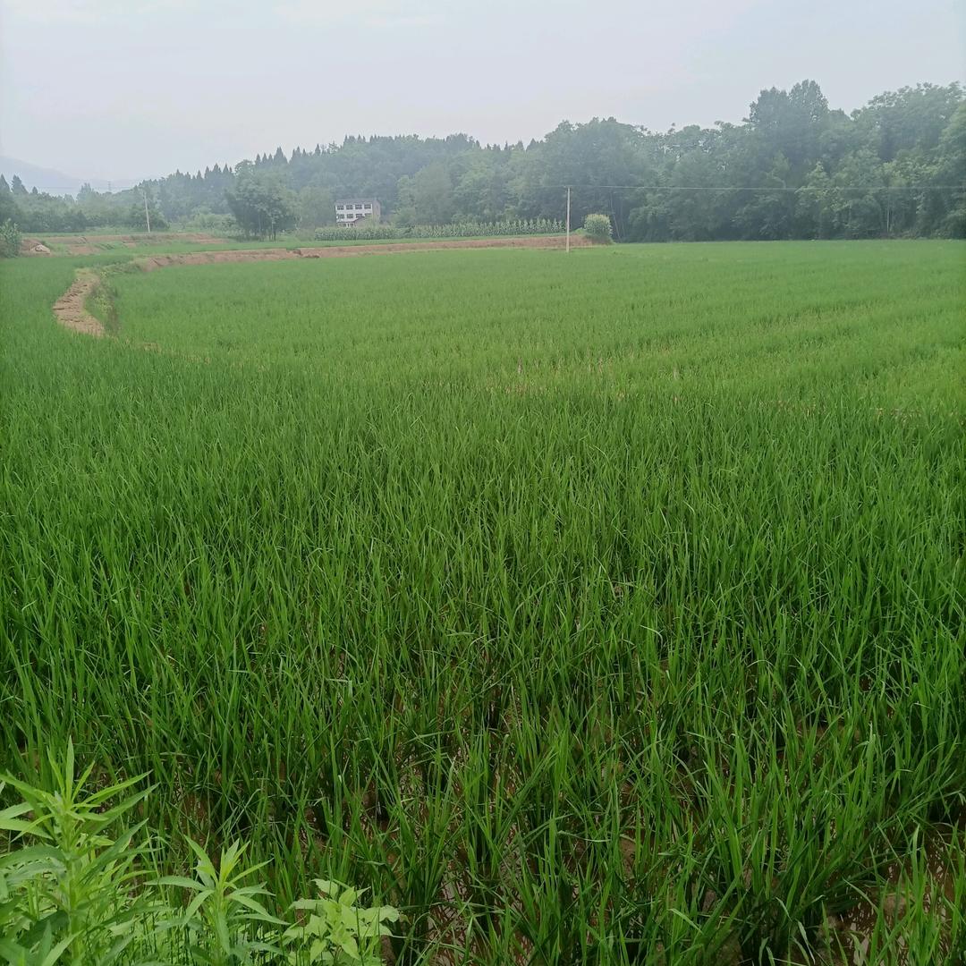佳耀农场