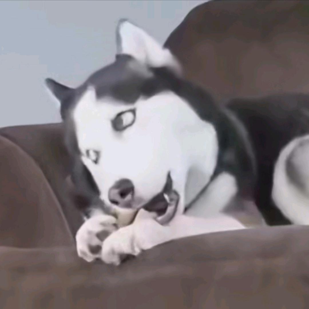 爱看小说的阿浦