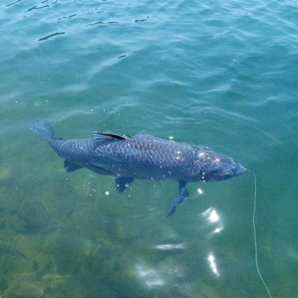 南湖记（筏钓船主）