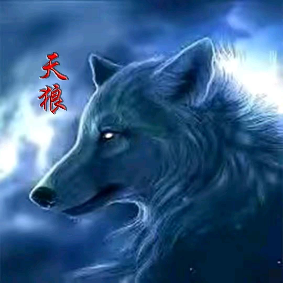 天狼公主👸🏻