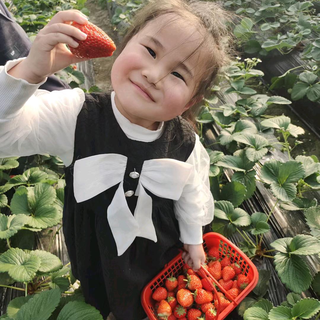 花蕊