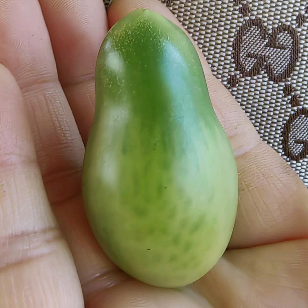 好物在橱窗🍀⁵¹¹