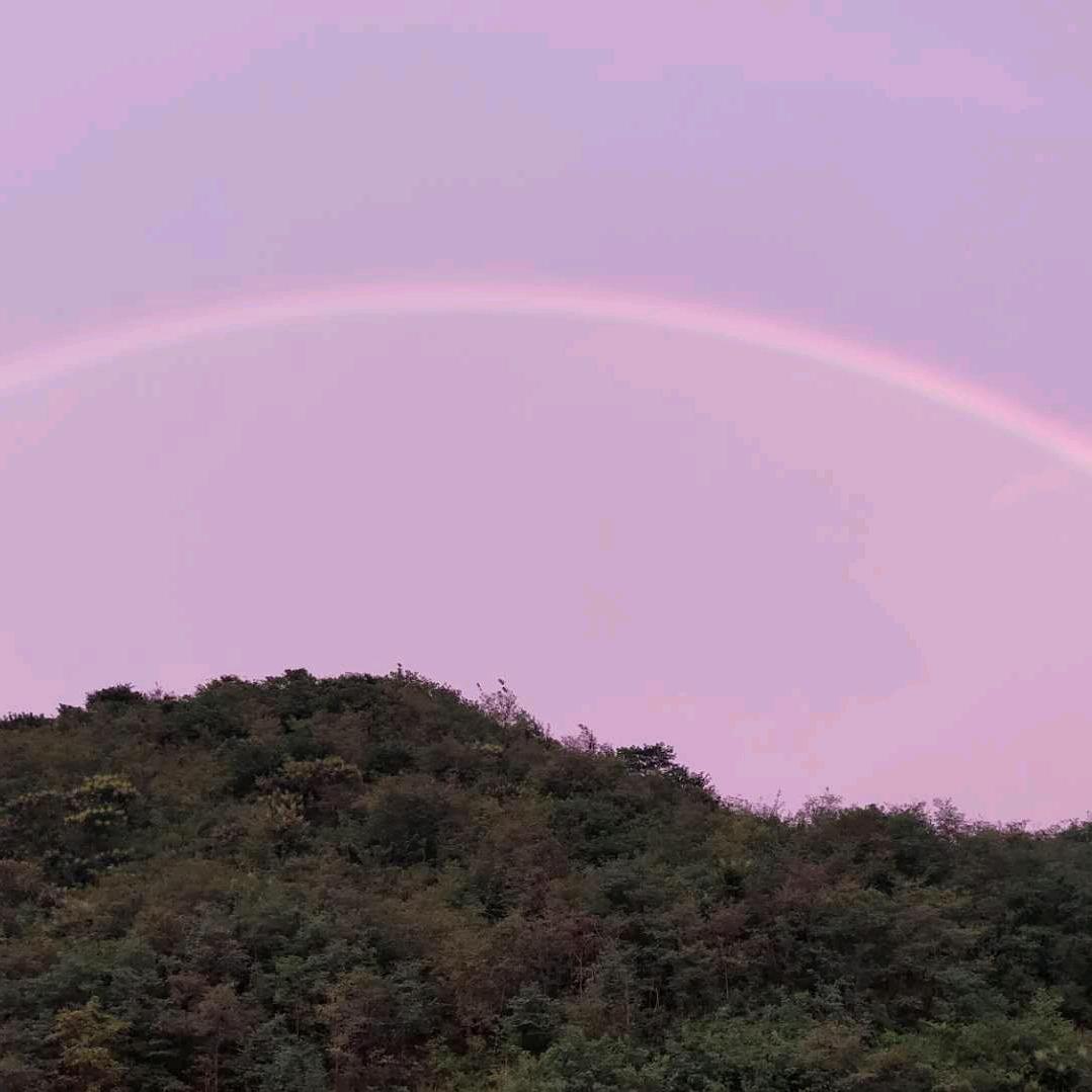 铁蛋