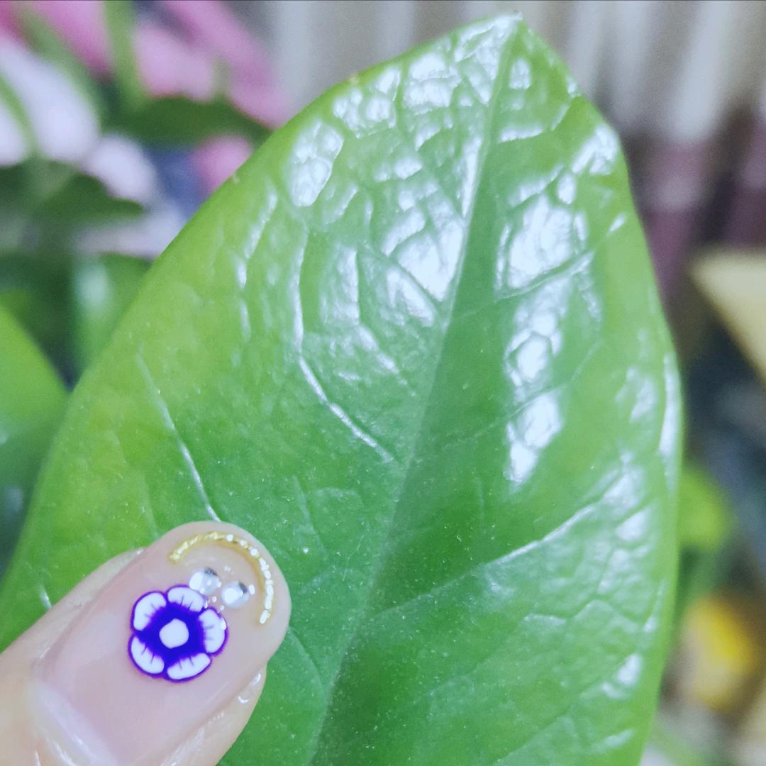 标签