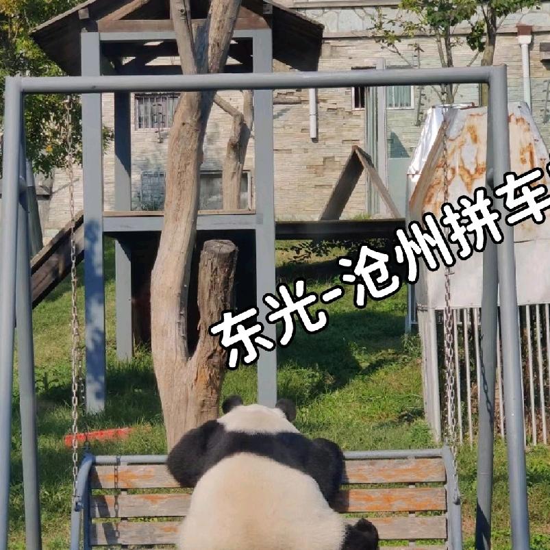 东光沧州包车拼车