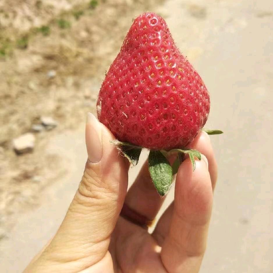 卖家电的小姐姐👩🏻