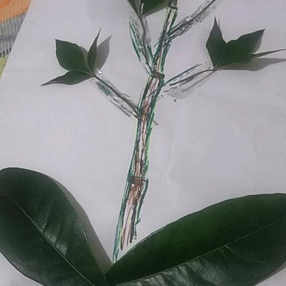 ( •̥́ ˍ涛涛 •̀ू )