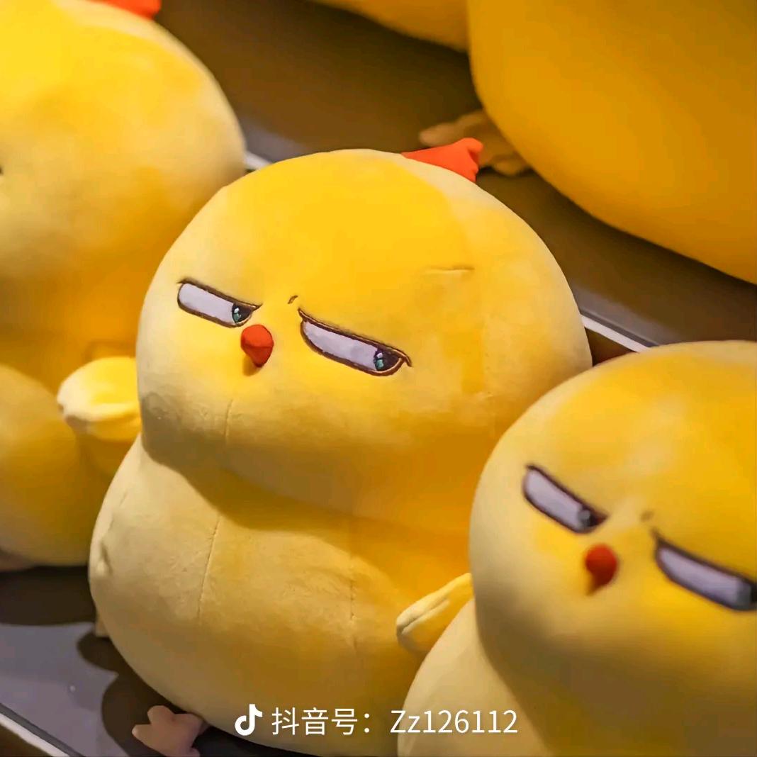 一架大飞ji